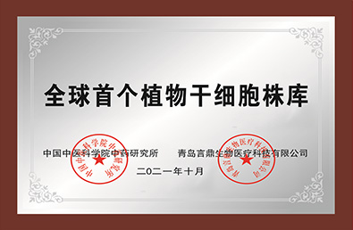 ȫ������(�й�)���޹�˾����