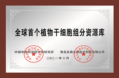 ȫ������(�й�)���޹�˾����