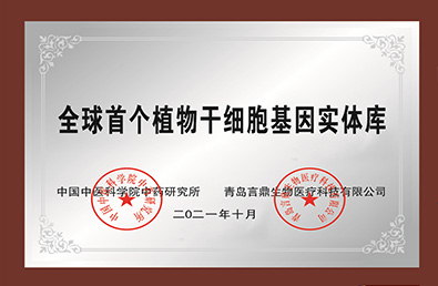 ȫ������(�й�)���޹�˾����